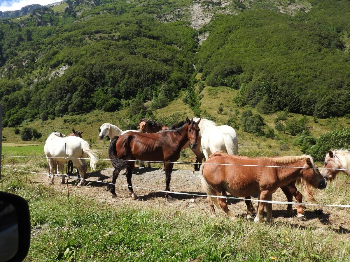 Gite Au Printemps Japonais, Petit Train De La Mure, Parc Des Ecrins Pierre-Chatel Eksteriør billede